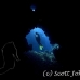cave_mal_si_h_0063_egy4090.jpg